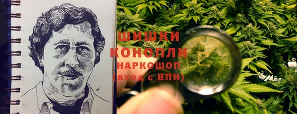 spice Надым
