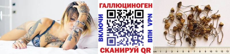 Псилоцибиновые грибы прущие грибы  Кохма 